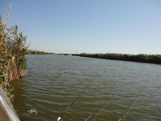 Delta Dunarii - dsc00866.JPG